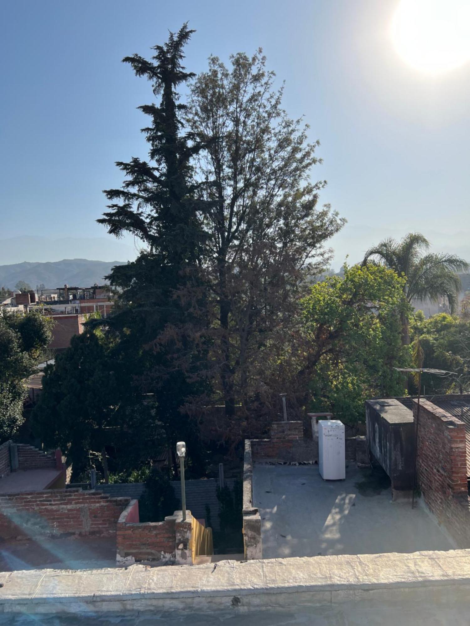 Cuyaya Hostel San Salvador de Jujuy Exteriör bild