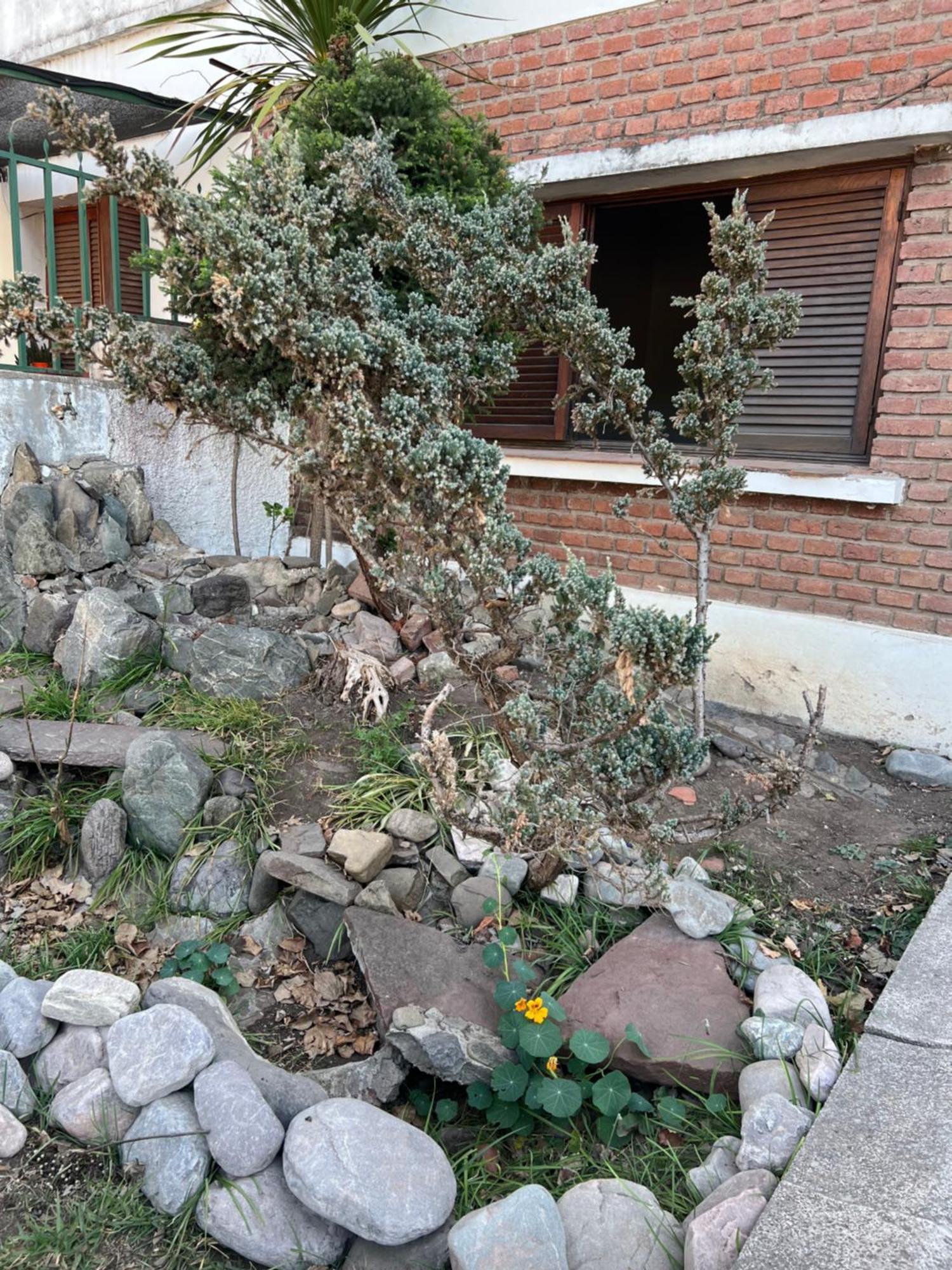 Cuyaya Hostel San Salvador de Jujuy Exteriör bild